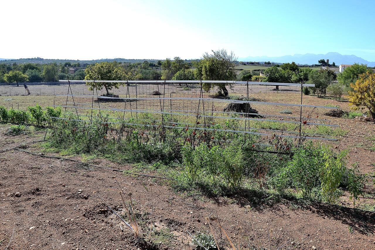 054 Finca Es Bosquerro Etv5362 By Mallorca Charme Santa Margalida Εξωτερικό φωτογραφία